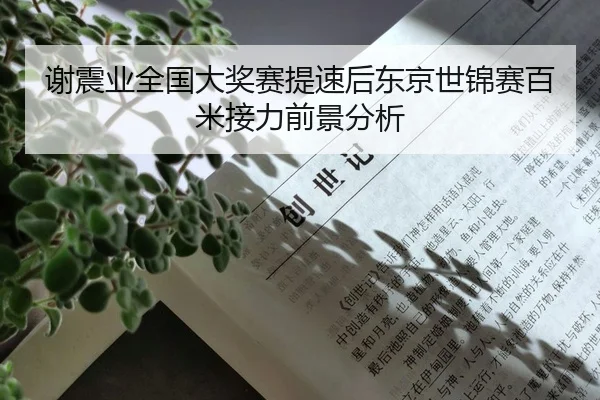 谢震业全国大奖赛提速后东京世锦赛百米接力前景分析