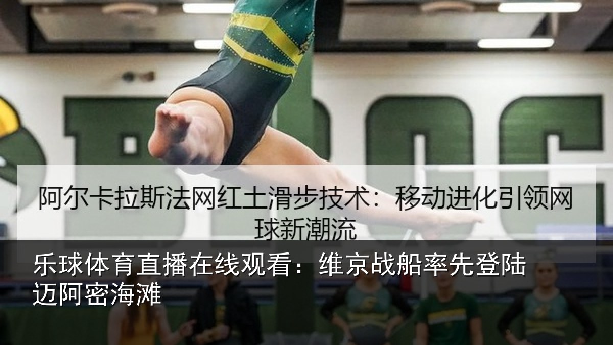 乐球体育直播在线观看：维京相关情况密海滩