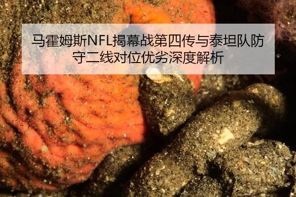 ma-huo-mu-si-jie-mu-zhan-di-si-chuan-yu-tai-tan-dui-fang-shou-er-xian-dui-wei-you-lie-shen-du-jie-xi-2-676.jpg