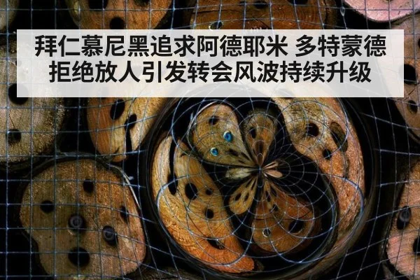 拜仁慕尼黑追求阿德耶米 多特蒙德拒绝放人引发转会风波持续升级